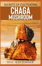 Secrets of Cultivating Chaga Mushroom