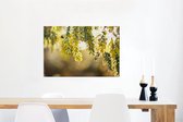 Canvas Schilderij Close up van gele acacia bloemen in zonlicht - 90x60 cm - Wanddecoratie