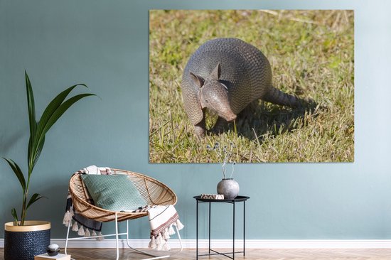 Toile de tatou dans l'herbe 2cm 160x120 cm - Tirage photo sur toile (Décoration murale salon / chambre) / Animaux sauvages Peintures sur toile XXL / Groot format!