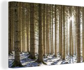 Canvas Schilderij Een bos met boomstammen in een winters landschap - 120x80 cm - Wanddecoratie