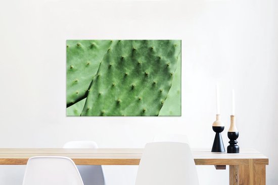 Tableau sur toile Cactus de Barbarie feuille vert menthe - 90x60 cm - Décoration murale
