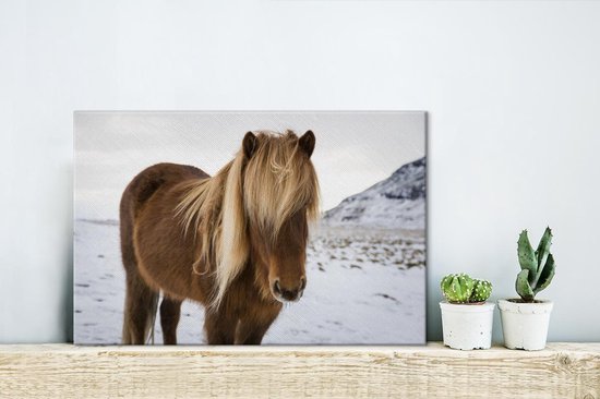 Portrait d'un cheval islandais curieux 30x20 cm - petit - Tirage photo sur toile (Décoration murale salon / chambre) / animaux sauvages Peintures sur toile
