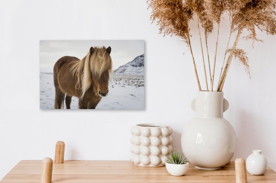 Portrait d'un cheval islandais curieux 30x20 cm - petit - Tirage photo sur toile (Décoration murale salon / chambre) / animaux sauvages Peintures sur toile