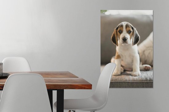 Mignon chiot Beagle assis sur le canapé Toile 40x60 cm - Tirage photo sur toile (Décoration murale salon / chambre) / Peintures sur toile pour Animaux domestiques