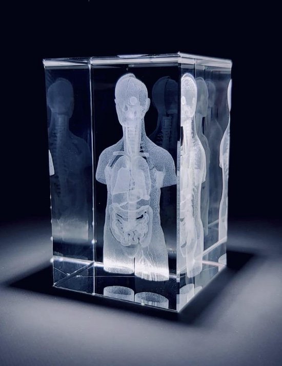 Anatomie model Torso - 3D glazen blok - verpleegkundige cadeau/ dokter cadeau/ geneeskunde cadeau