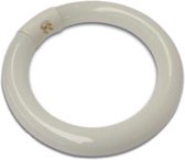 Velleman T4 fluorescentielamp 22W, reservelamp voor loeplamp, bureaulamp, helder wit licht 6500K, vervanglamp voor vergrootlamp, flikkervrij werklicht, 900 lumen, modelbouw, elektronica