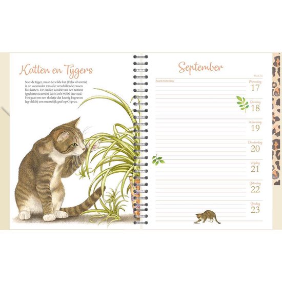 Agenda De Bureau 22 Chats Franciens Chaton 16x23cm Bol Com