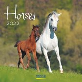 Horses 2022