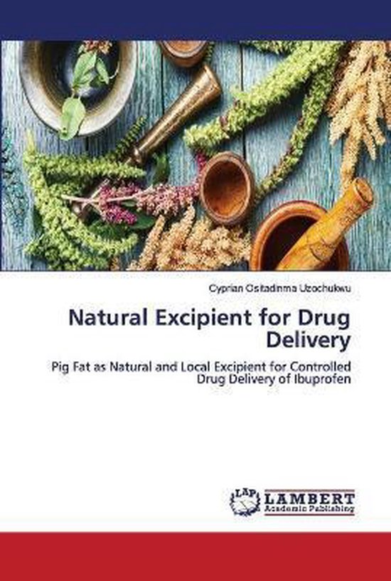 Natural Excipient for Drug Delivery - cover