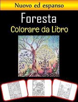 Libro da colorare foresta