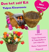 Tulpen mix  'Doe het zelf' Kweek kit - Tulpenbollen - Compleet pakket - Tuin - Balkon - Cadeau - Duurzaam - Keukenhof - ulip - Bloemen - Bollen - Tuin - Tulpen - Cadeau - Keukenhof - Planten 