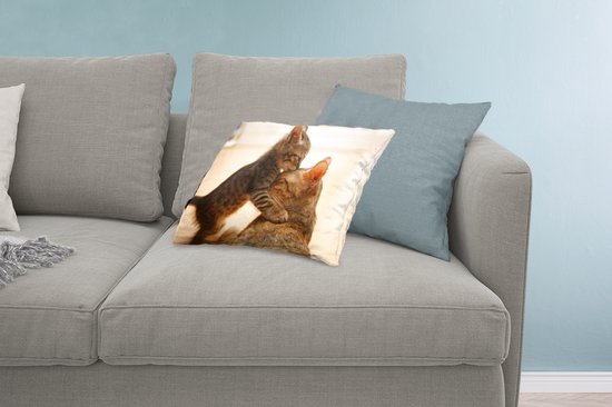 Coussins Coussins décoratifs - Coussin - Chat câlin avec chaton - 60x40 cm - Coussin en coton