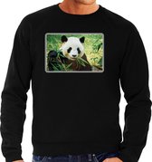 Dieren sweater met pandaberen foto - zwart - voor heren - natuur / panda cadeau trui - kleding / sweat shirt L
