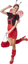 dressforfun - Marina lieveheersbeestje XL - verkleedkleding kostuum halloween verkleden feestkleding carnavalskleding carnaval feestkledij partykleding - 302713