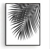 Poster Palmboom blad Rechts Zwart / Wit - Tropisch Blad - Planten Poster - Muurdecoratie - 70x50cm - PosterCity