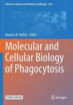 Molecular and Cellular Biology of Phagocytosis