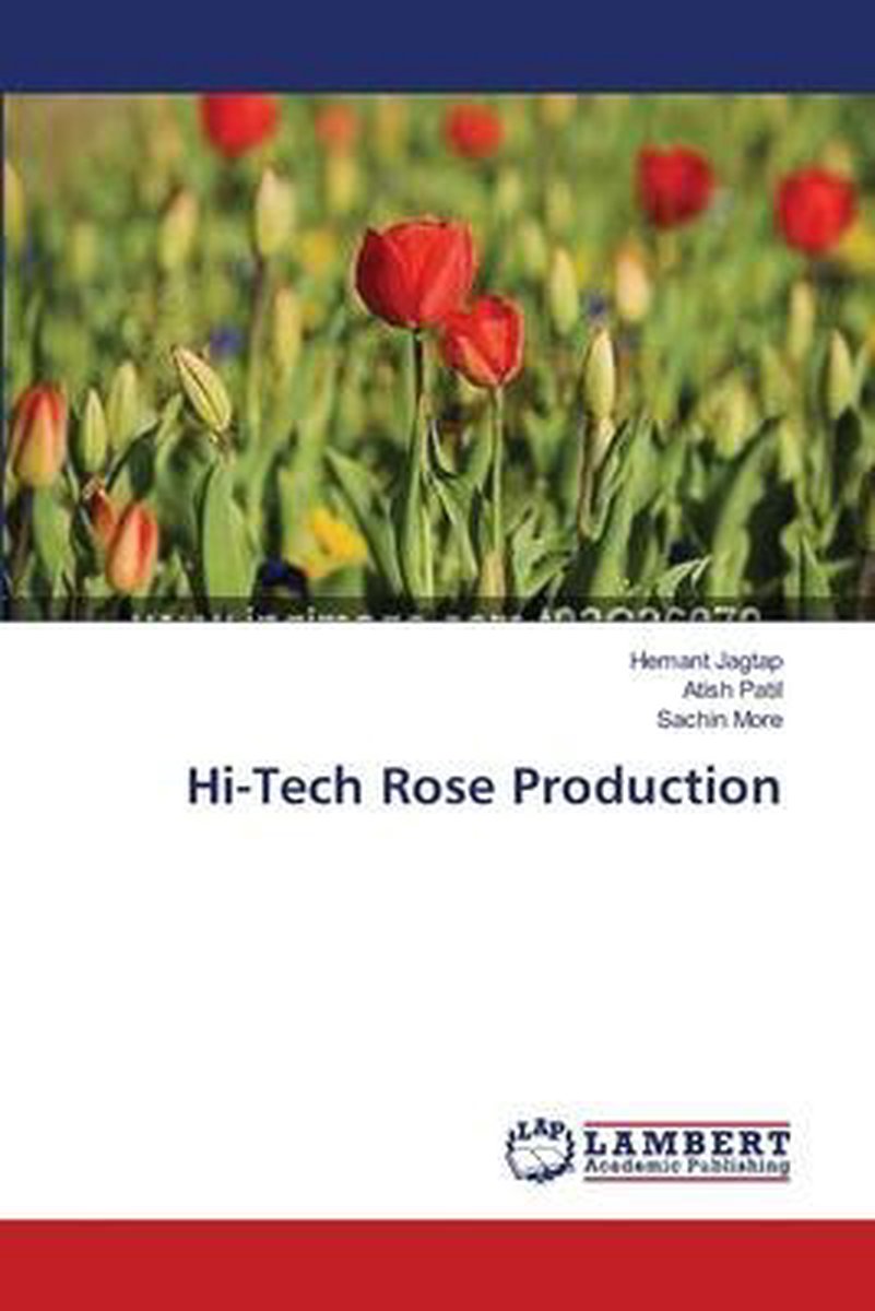 Hi-Tech Rose Production