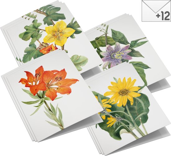 Bijzondere en leuke wenskaarten bestellen voor elke gelegenheid Bijzondere en leuke wenskaarten bestellen voor elke gelegenheid