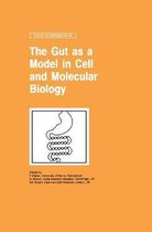 The Gut as a Model in Cell and Molecular Biology