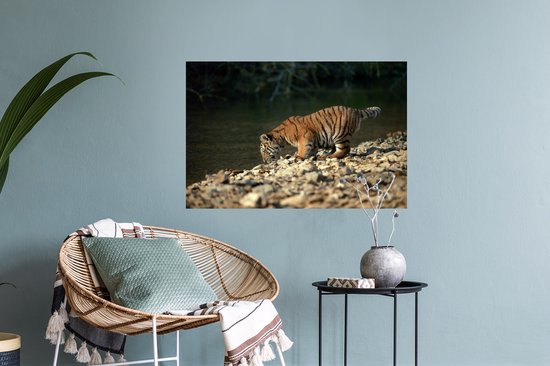 Sticker Muursticker Bébé tigre - bébé abeille tigre - 60x40 cm - feuille autocollante - sticker mural repositionnable