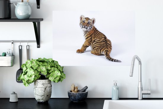 Sticker Muursticker Tigre sur fond blanc - Bébé tigre assis sur fond blanc - 60x40 cm - Film adhésif autocollant - Sticker mural repositionnable