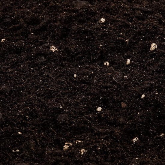 Bijenvriendelijke balkonplanten: 15 balkonplanten voor bijen - Agri World