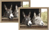 2x Schootkussens/laptrays ezels print 43 x 33 cm - Schoottafels - Dienbladen voor op schoot ezels