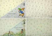 2x Peter Rabbit - Afbeelding Kartonblokken - 80 vellen - 21 x 14,8cm