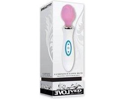 Evolved Novelties - Creamsicle - Oranje