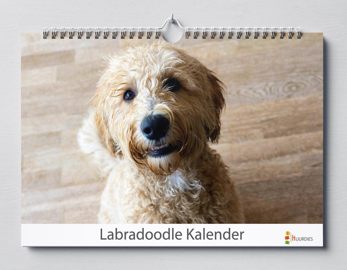 Labradoodle verjaardagskalender | Labradoodles wandkalender | kalender 35x24 cm | Verjaardagskalender Volwassenen
