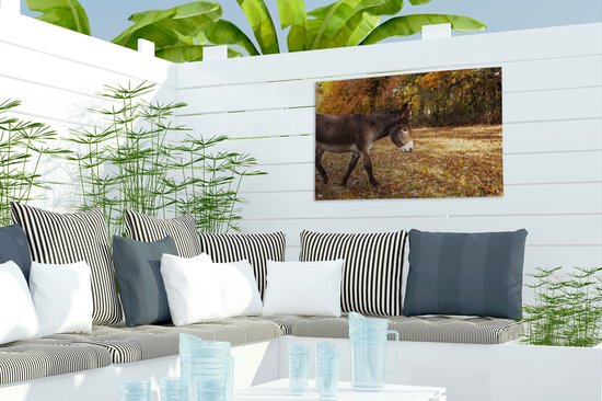Âne marchant à travers les feuilles d'automne affiche de jardin toile en vrac 60x40 cm - petit - toile de jardin / toile d'extérieur / Peintures pour l'extérieur (décoration de jardin)