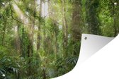 Affiche de jardin Light in the forest 60x40 cm - petit - Toile de jardin / Toile d'extérieur / Peintures d'extérieur (décoration de jardin)
