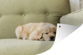 Tuinposter - Tuindoek - Tuinposters buiten - Een slapende Golden Retriever puppy op de bank - 120x80 cm - Tuin