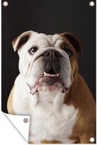 Muurdecoratie Bulldog - Engels - Tanden - 120x180 cm - Tuinposter - Tuindoek - Buitenposter