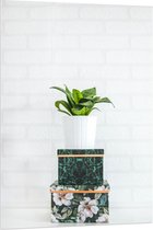 Acrylglas - Plantenpotje op Doosjes - 80x120cm Foto op Acrylglas (Wanddecoratie op Acrylglas)