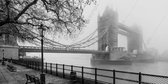 JJ-Art (Aluminium) | Londen Tower Bridge in zwart wit in de mist | Engeland, stad, bomen, modern, sfeer | Foto-Schilderij print op Dibond / Aluminium (metaal wanddecoratie) | KIES JE MAAT