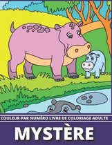 Mystere Couleur Par Numero Livre De Coloriage Adulte