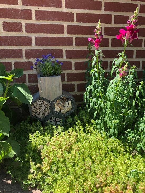 Houten insectenhotel met honingraatstructuur, gevuld met bamboe en houtblokken, met plantenbak met blauwe bloemen, in een tuin bij een bakstenen muur.