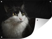 Muurdecoratie buiten Katten portret - 160x120 cm - Tuindoek - Buitenposter