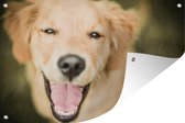 Muurdecoratie Glinstering in de ogen van deze Labrador Retriever - 180x120 cm - Tuinposter - Tuindoek - Buitenposter