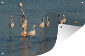 Tuinposter - Tuindoek - Tuinposters buiten - Flamingo's in het Nationaal park Doñana in Spanje - 120x80 cm - Tuin