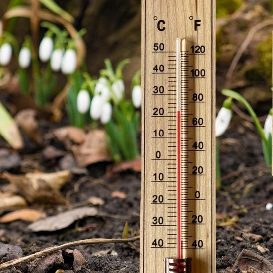 Verbazing ventilator preambule 4x Buitenthermometer hout - Thermometer tuin - Temperatuurmeter binnen en  buiten -... | bol.com