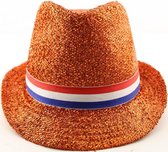 2x Oranje Hoed - Glitter - Nederlandse Vlag - Voetbal - Nederlands elftal -Oranje Leeuwinnen - Feesthoed - Voordeelverpakking 2 stuks