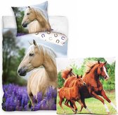 Paarden dekbedovertrek , beige Paard- witte Manen-140x200cm , 100% katoen- 1 persoons- dekbed- slaapkamer, incl. paarden sierkussen 40x40 cm