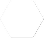 Muurhexagon effen wit Forex / 18 x 15 cm