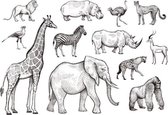 Stempels | Set van 12 Siliconen Stempels Jungle Dieren | Giraffe, Aap, Zebra etc.