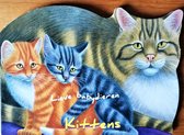 Kleine kartonboekjes: kittens