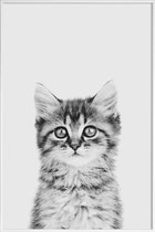 JUNIQE - Poster in kunststof lijst Kitten Classic -40x60 /Wit & Zwart