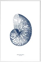 JUNIQE - Poster in kunststof lijst Nautilus Shell II -40x60 /Blauw &