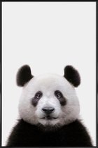 JUNIQE - Poster in kunststof lijst Panda -20x30 /Wit & Zwart